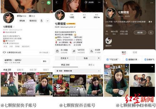 台湾博主爆料视频大全,揭秘幕后真相与热点事件